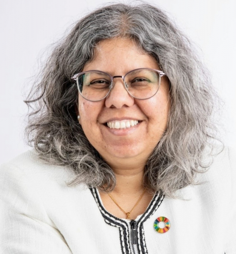 Archana Medhekar, Chair CSW68 and Women in Mediation Action Group